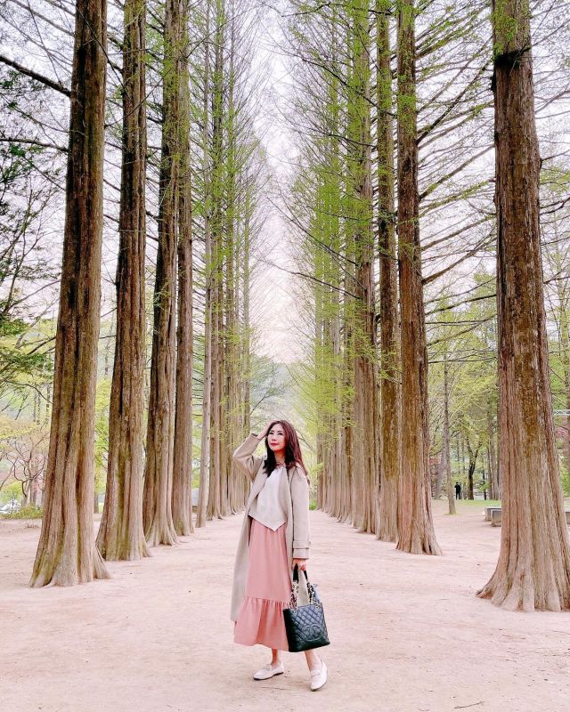 南怡島超級漂亮，處處都是美景！連餐廳都很美！

2002年由裴勇俊及崔智友主演的《冬季戀歌》就是在這邊拍的（有人記得這部韓劇嗎？）

這邊慢慢逛可以逛好幾個小時。不過我們時間不多，所以沒有逛完（跟團就是這樣，行程都很趕）。

#韓國 #韓國景點  #韓國一日遊 #南怡島 #韓國自由行